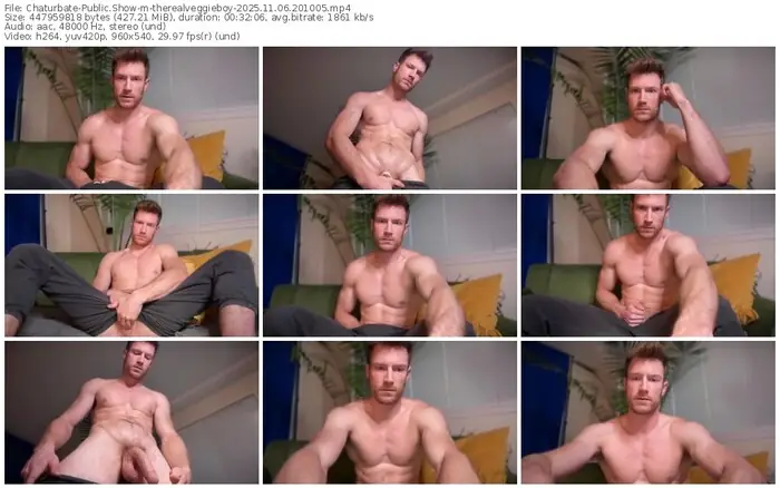 2025/11/06/chaturbate-therealveggieboy-20-10-05