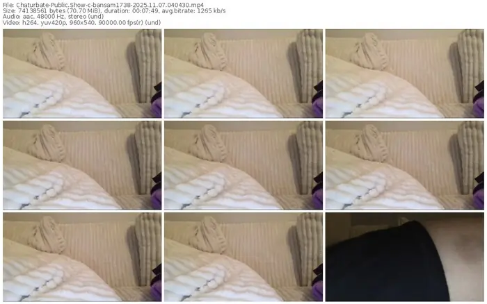 2025/11/07/chaturbate-bansam1738-04-04-30