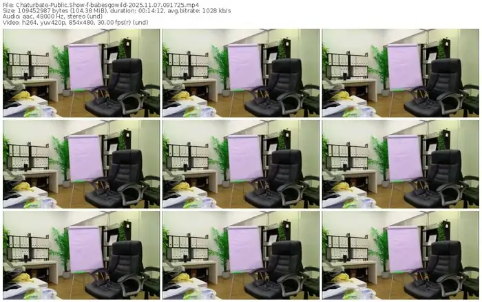 2025/11/07/chaturbate-babesgowild-09-17-25