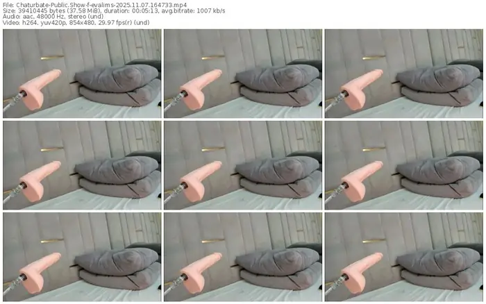 2025/11/07/chaturbate-evalims-16-47-33