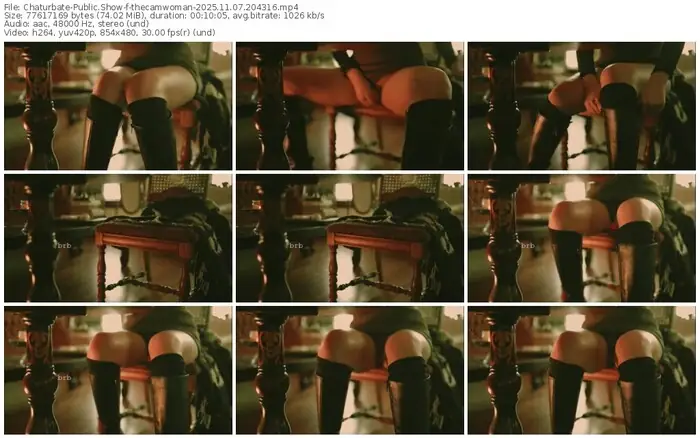 2025/11/07/chaturbate-thecamwoman-20-43-16