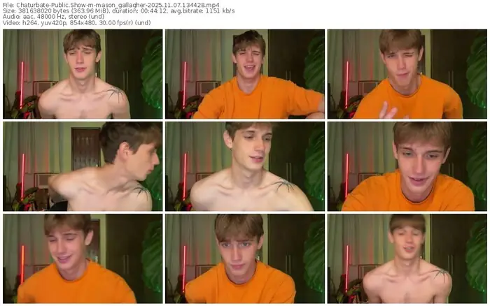 2025/11/07/chaturbate-mason_gallagher-13-44-28