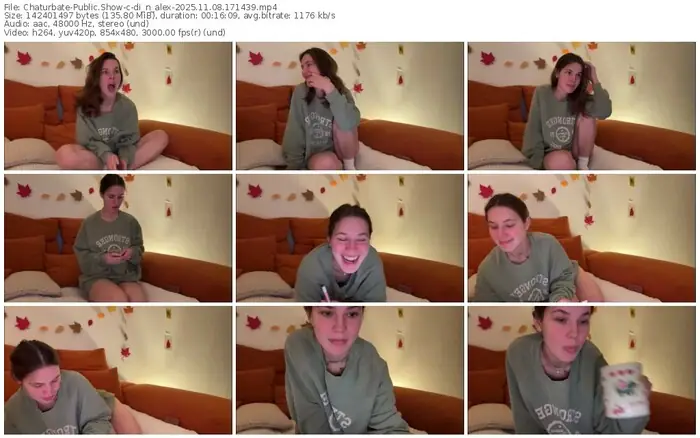 2025/11/08/chaturbate-di_n_alex-17-14-39