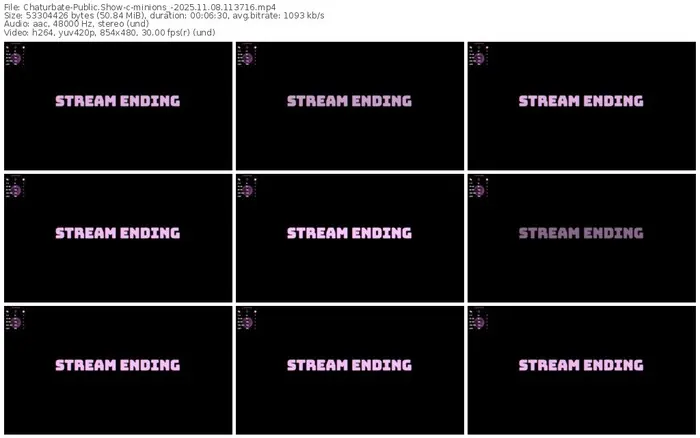 2025/11/08/chaturbate-minions_-11-37-16