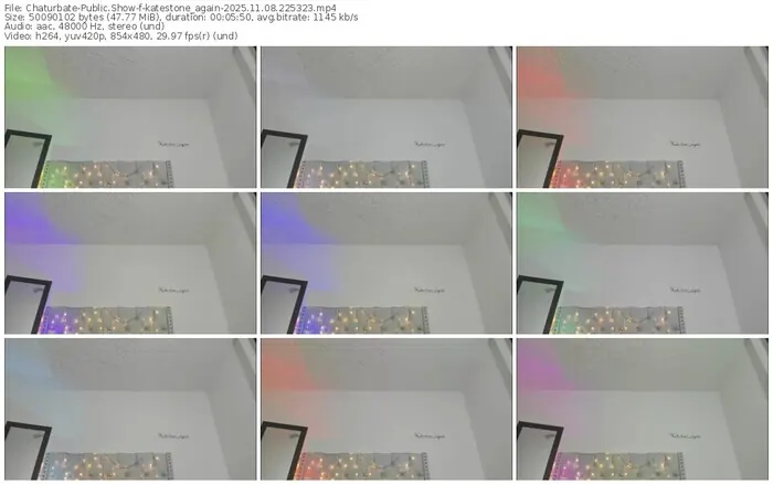 2025/11/08/chaturbate-katestone_again-22-53-23