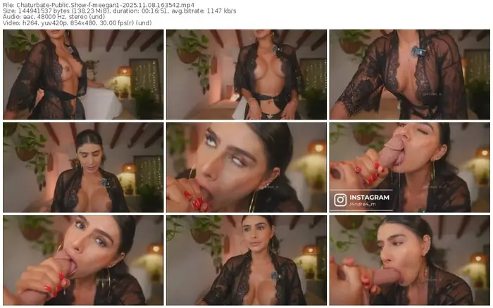 2025/11/08/chaturbate-meegan1-16-35-42