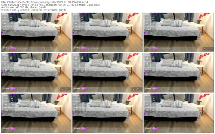 2025/11/08/chaturbate-rosetaylorla-15-47-34