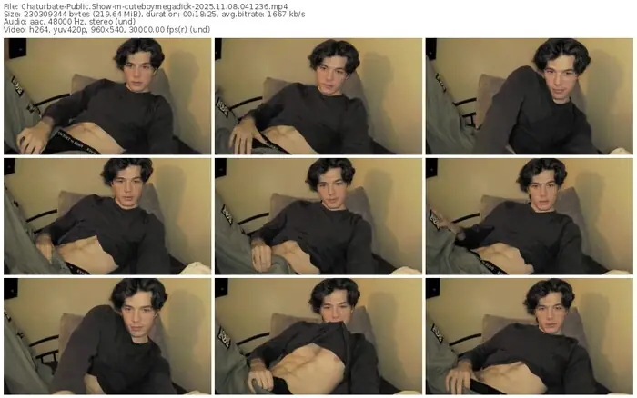 2025/11/08/chaturbate-cuteboymegadick-04-12-36