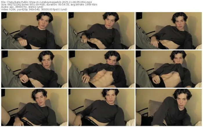 2025/11/08/chaturbate-cuteboymegadick-05-16-54