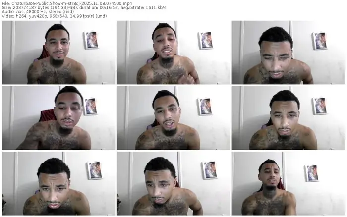 2025/11/08/chaturbate-str8dj-07-45-00
