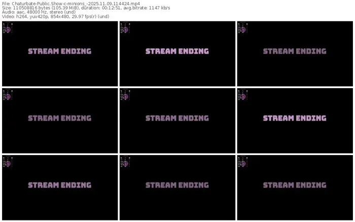 2025/11/09/chaturbate-minions_-11-44-24