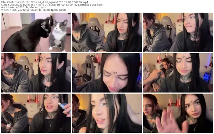 2025/11/09/chaturbate-i_died_again-13-02-36