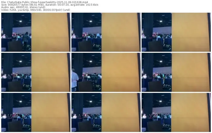 2025/11/09/chaturbate-peacheekitty-02-16-28