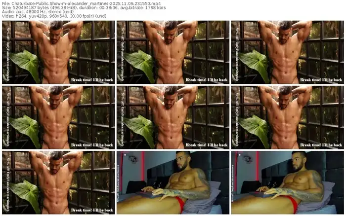 2025/11/09/chaturbate-alexander_martines-23-15-53