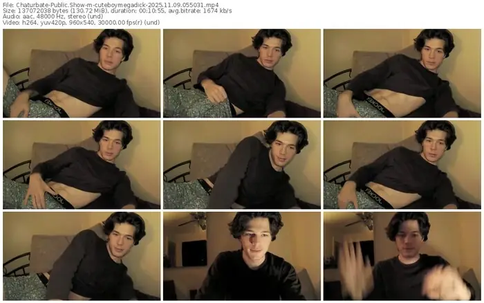 2025/11/09/chaturbate-cuteboymegadick-05-50-31