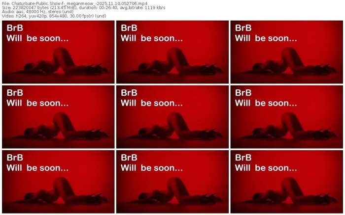 2025/11/10/chaturbate-_meganmeow_-05-27-06