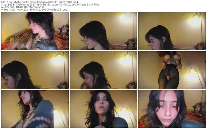 2025/11/10/chaturbate-artgea-01-33-18