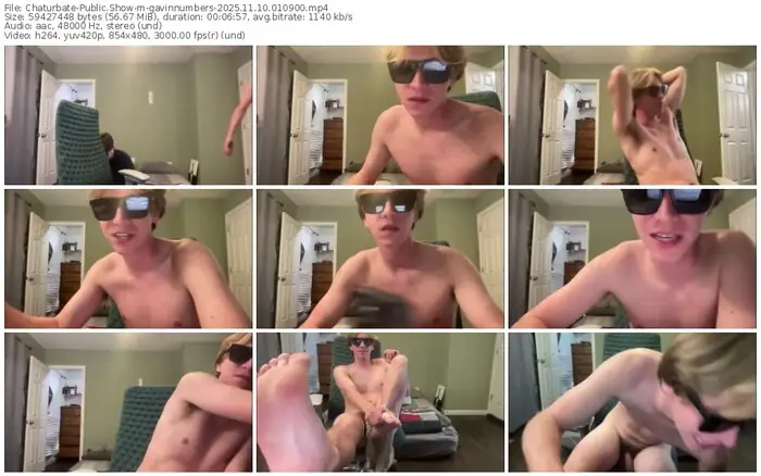 2025/11/10/chaturbate-gavinnumbers-01-09-00