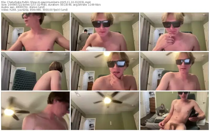 2025/11/10/chaturbate-gavinnumbers-01-20-31