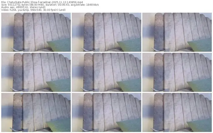 2025/11/12/chaturbate-ariadnaz-14-38-56