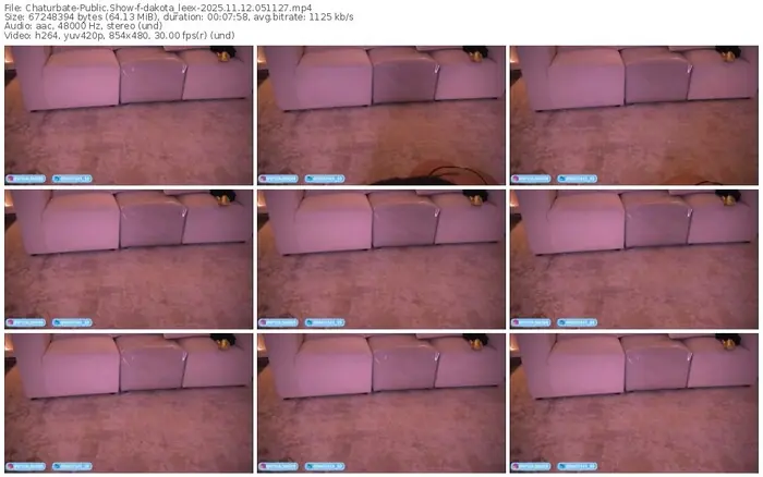 2025/11/12/chaturbate-dakota_leex-05-11-27
