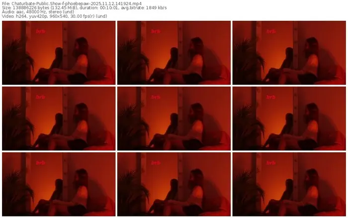 2025/11/12/chaturbate-phoebepaw-14-19-24