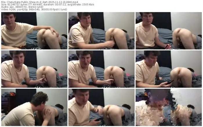 2025/11/12/chaturbate-d_dart-21-28-40