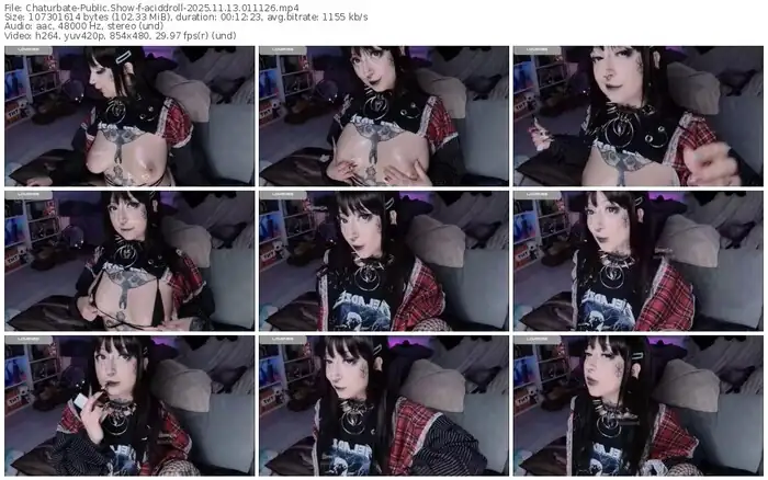 2025/11/13/chaturbate-aciddroll-01-11-26