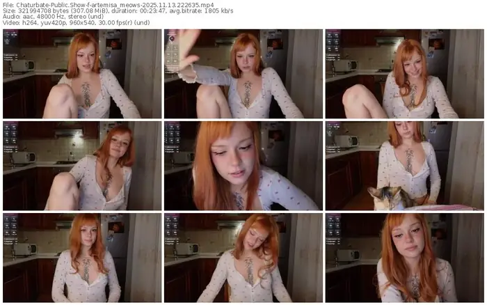 2025/11/13/chaturbate-artemisa_meows-22-26-35