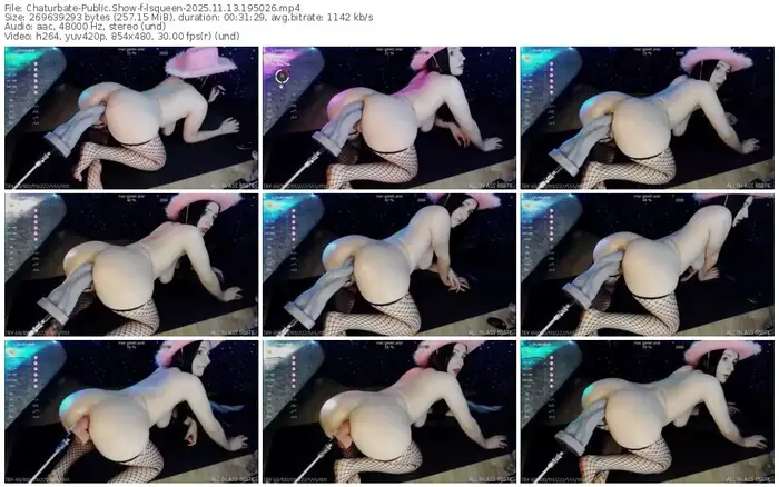 2025/11/13/chaturbate-lsqueen-19-50-26