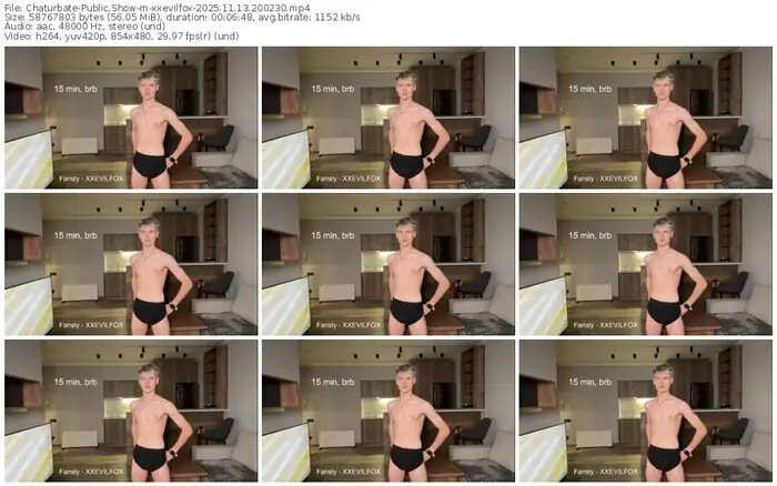 2025/11/13/chaturbate-xxevilfox-20-02-30