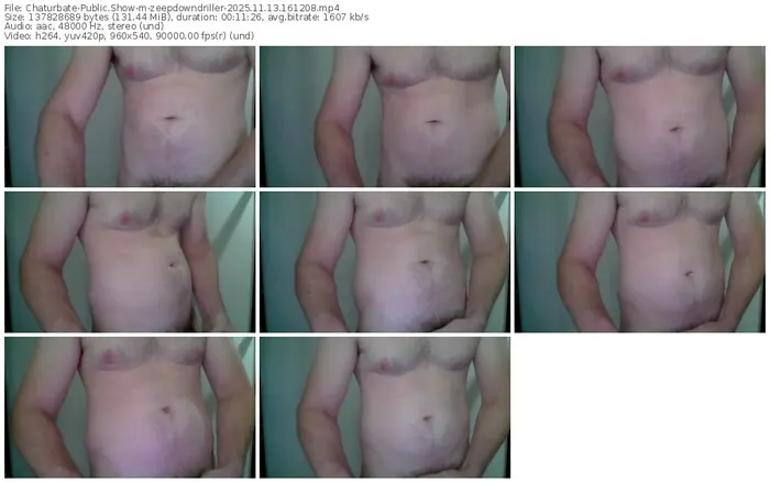 2025/11/13/chaturbate-zeepdowndriller-16-12-08