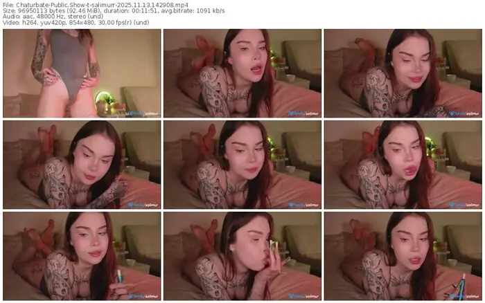 2025/11/13/chaturbate-salimurr-14-29-08