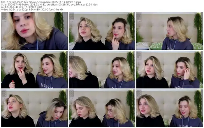 2025/11/14/chaturbate-pinkadele-02-38-15