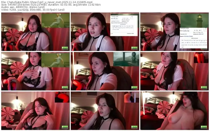 2025/11/14/chaturbate-girl_u_never_met-21-08-05