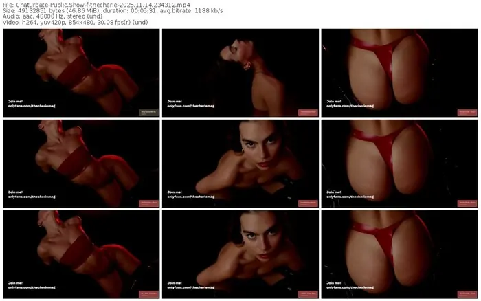 2025/11/14/chaturbate-thecherie-23-43-12