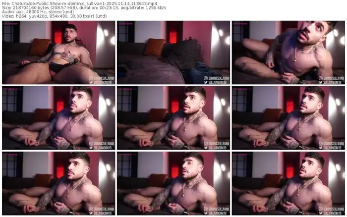 2025/11/14/chaturbate-dominic_sullivan1-11-36-43