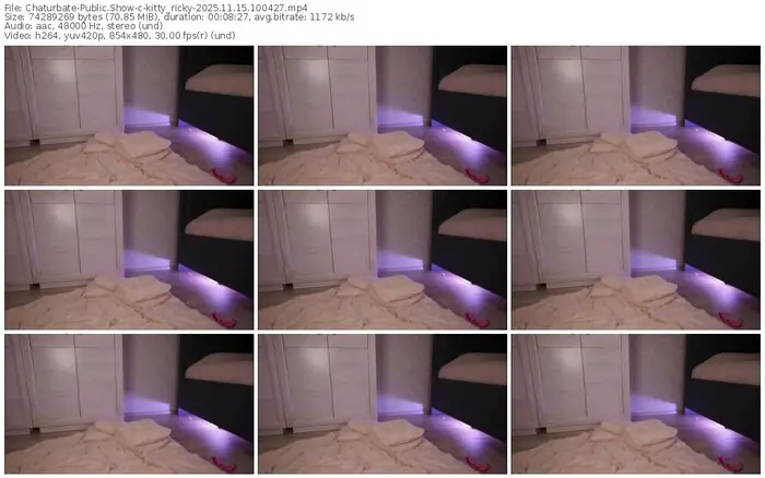 2025/11/15/chaturbate-kitty_ricky-10-04-27