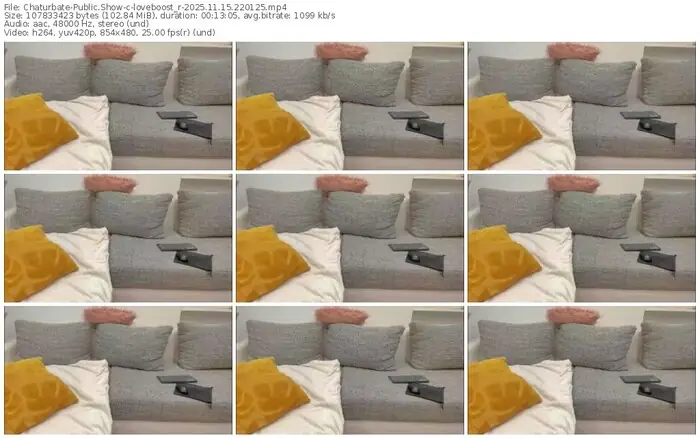 2025/11/15/chaturbate-loveboost_r-22-01-25