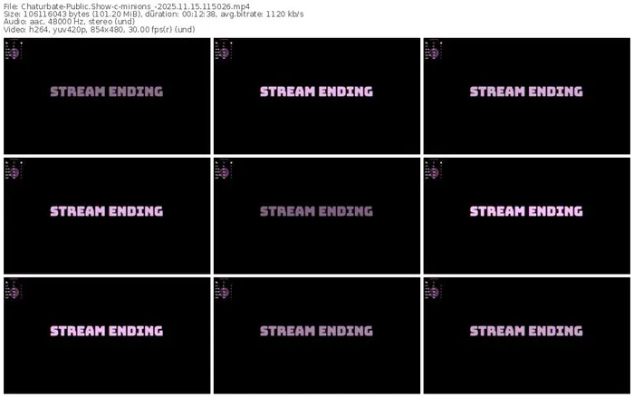 2025/11/15/chaturbate-minions_-11-50-26