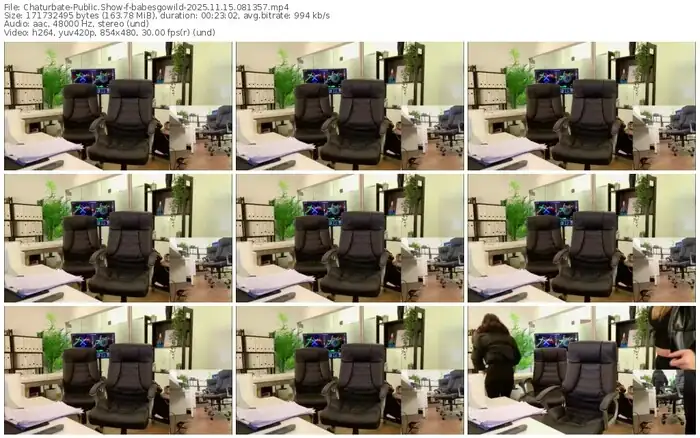 2025/11/15/chaturbate-babesgowild-08-13-57