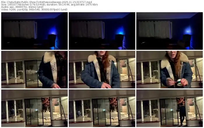 2025/11/15/chaturbate-intothewoodswego-01-37-17