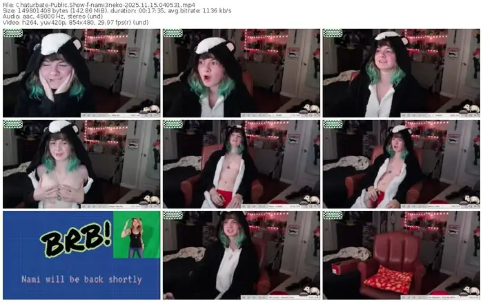 2025/11/15/chaturbate-nami3neko-04-05-31