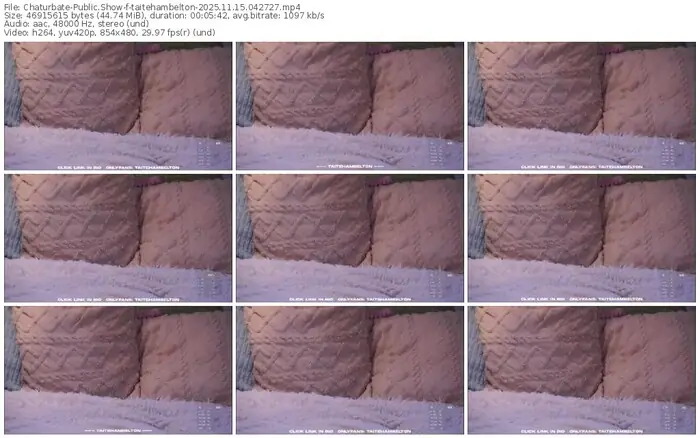 2025/11/15/chaturbate-taitehambelton-04-27-27