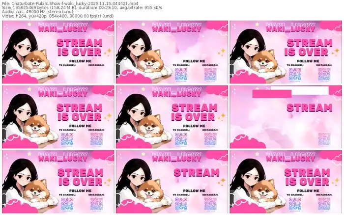 2025/11/15/chaturbate-waki_lucky-04-44-21