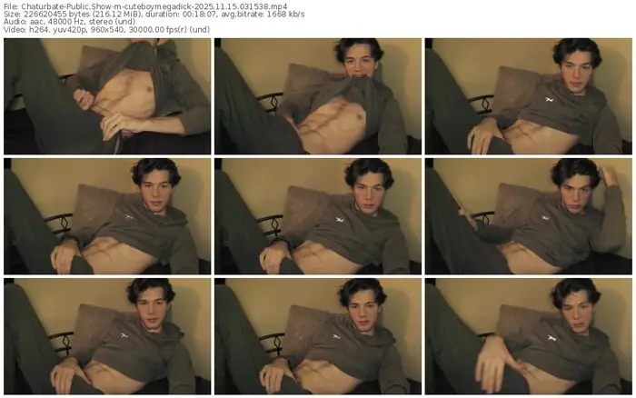 2025/11/15/chaturbate-cuteboymegadick-03-15-38