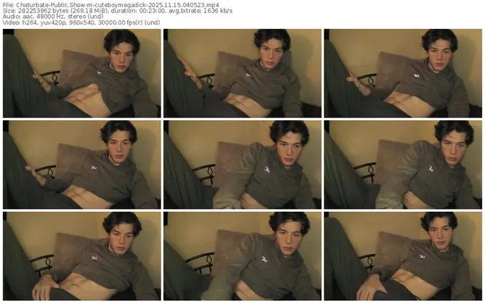 2025/11/15/chaturbate-cuteboymegadick-04-05-23