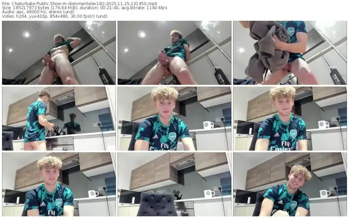 2025/11/15/chaturbate-dominantalex182-13-14-50