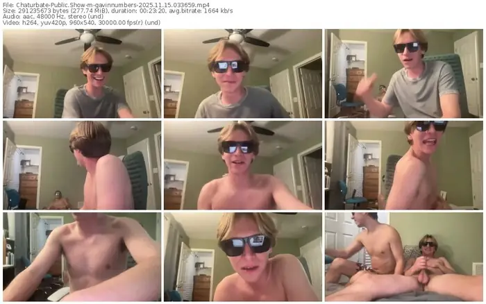2025/11/15/chaturbate-gavinnumbers-03-36-59