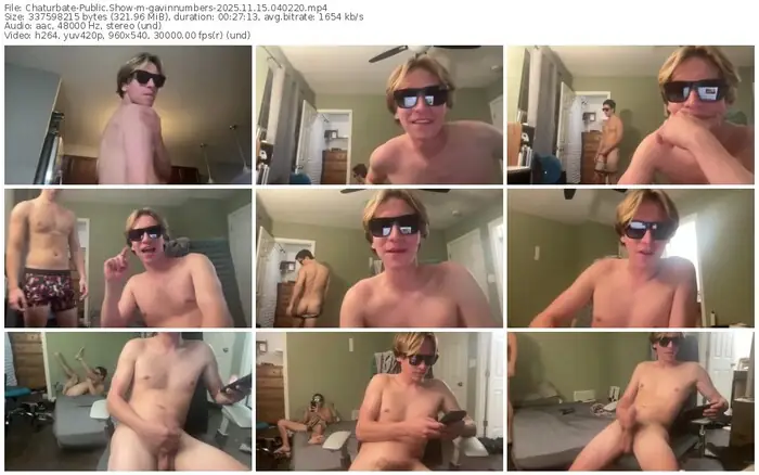 2025/11/15/chaturbate-gavinnumbers-04-02-20